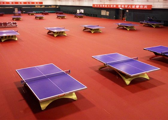 ITTF Certified Table Tennis Courts